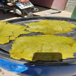 برگ دلمه سبز و شور