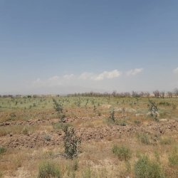 خرید،فروش،نقدی،تهاتر، 