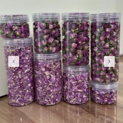 غنچه گل محمدی غنچه گل محمدی
