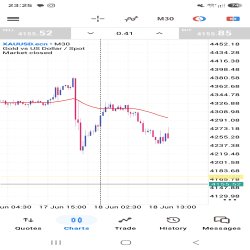 Forex Trader 