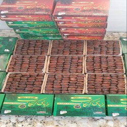 خرما و رطب صادراتی