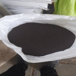 سیاه دانه