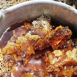  عسل طبیعی کوهستان 