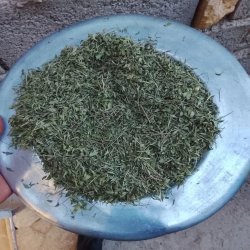 عطاری