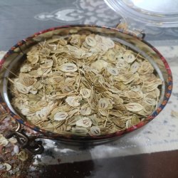 فروشی گلپر 