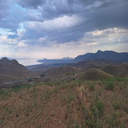 عسل طبیعی 