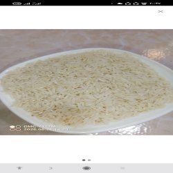 برنج اصل هاشمی گیلان