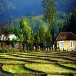 زمین مناسب سرمایه گذاری