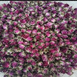 گل محمدی