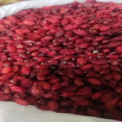 زرشک پفکی صادراتی