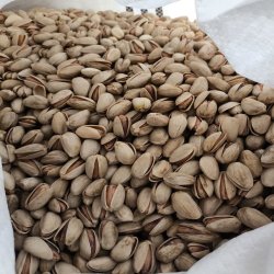 پسته اکبری درجه یک صادراتی