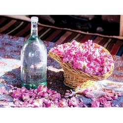 فروش گلاب اصیل 