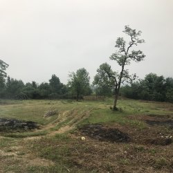 دوقطعه زمین کشاورزی در شمال