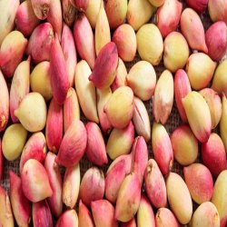 فروش پسته فروش پسته