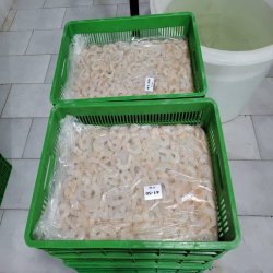PUD bulk single frozen rice shrimp