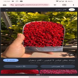 زرشک ممتاز ایرانی، زعفران اصل ایرانی زرشک ممتاز ایرانی، زعفران اصل ایرانی