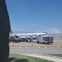 مترجم لغت الفارسی والعربی فی ایران  شیراز 