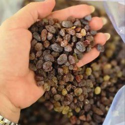 فروش عمده کشمش ایرانی درجه یک