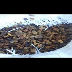 کشمش عمده