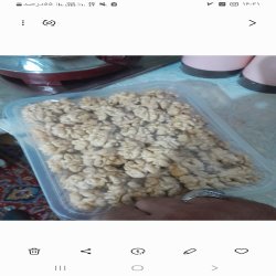 مغز گردوی پانج.بدون پوست