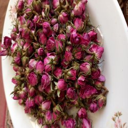 غنچه گل