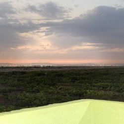 پسته ایرانی درجه یک
