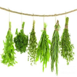 سبزیجات و میوه جات خشک