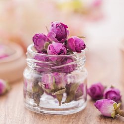 گل محمدی با کیفیت 