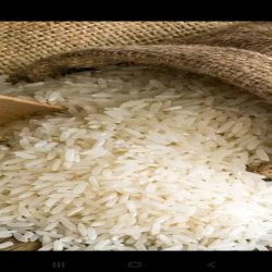 برنج طارم هاشمی درجه یک 