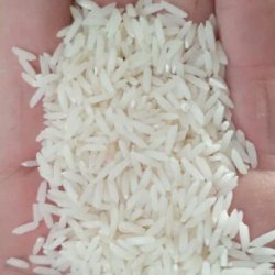 فروش برنج طارم شمال