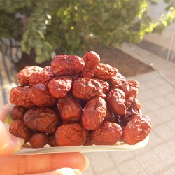 عناب درجه یک jujube