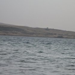 زمینهای لب رودخانه 