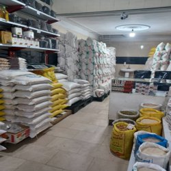 أصناف من الأرز الإيراني درجة أ