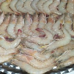 میگو و وماهی جنوب. قشم