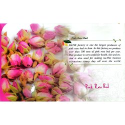 Pink Rose Bud