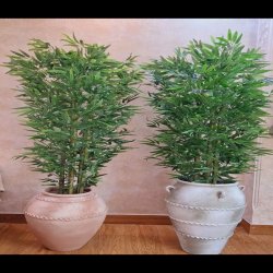 درختچه مصنوعی با تنه طبیعی 
