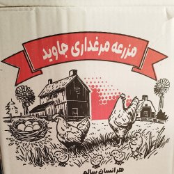 تخم مرغ درجه یک 