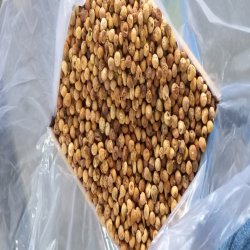 انجیر خشک استهبان