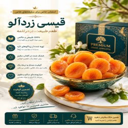 قیسی زردآلو باکیفیت و بی‌نظیر 