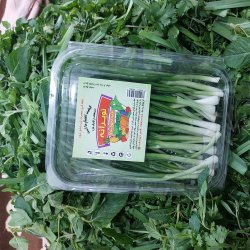 پخش سبزی خوردن و سبزی آماده