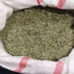 آویشن کوهی امسال