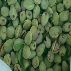 فروش بهترین بادام پوست کاغذی