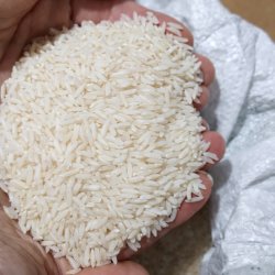 استخدام ویزیتور در کشورهای عرب