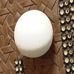 سنگ الماس اسیاب 