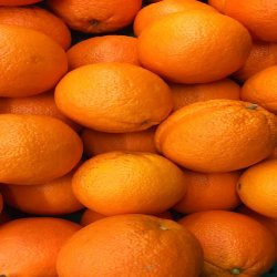 مرکبات و تامین کننده مواد غذا
