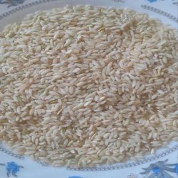 أرز اصل ایرانی أرز اصل ایرانی