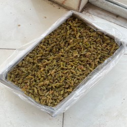کشمش سبز