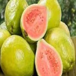 فروش میوه جات فروش میوه جات
