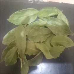 برگ  بو