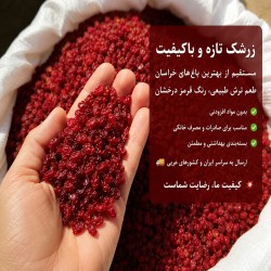 زرشک زرشک